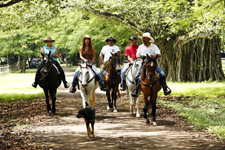 Costa Rica-Guanacaste-Ranches, Volcanoes & Beaches in Guanacaste